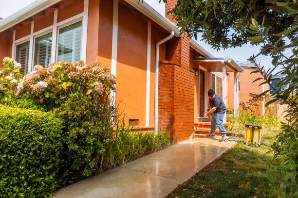 Best Roof Pressure Washing  in Jacksboro, TX